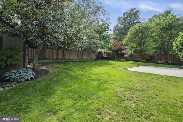 view of yard with a patio