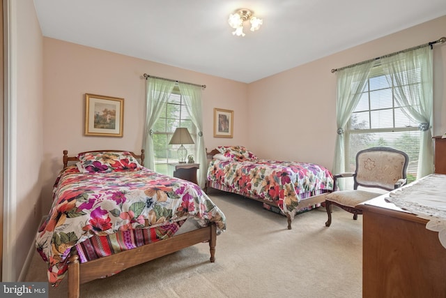 3731 Long Point Dr, York, PA 17402 - bedroom with carpet flooring