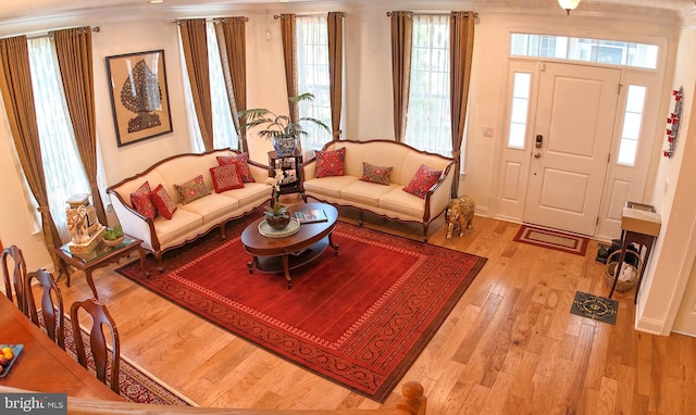 16 Magpie Ln, Princeton Junction, NJ 08550 - living area with light wood-style floors