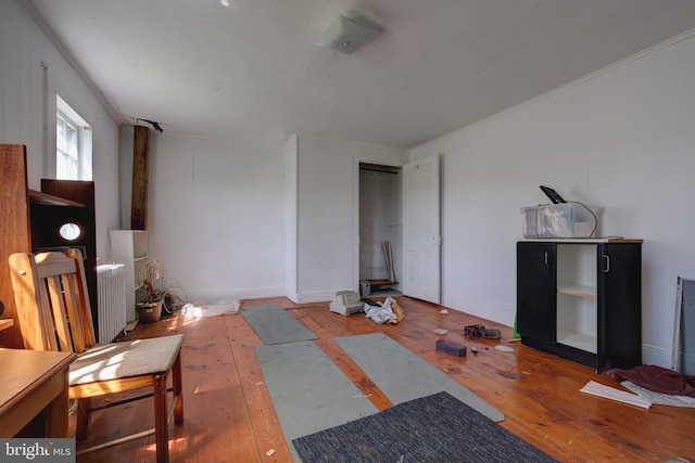 living area featuring wood-type flooring