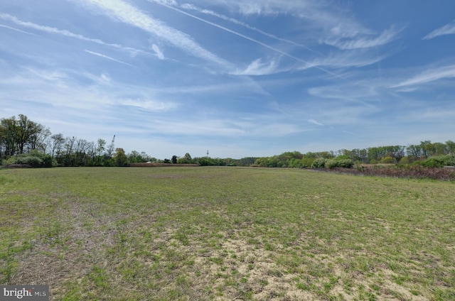 view of grassy yard featuring a rural view