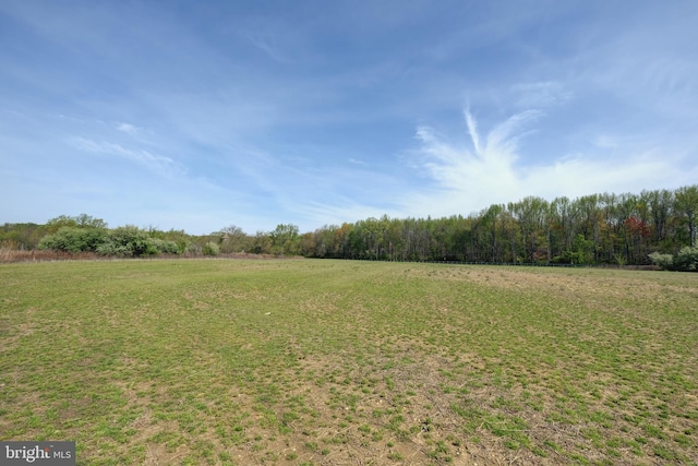 view of grassy yard with a wooded view