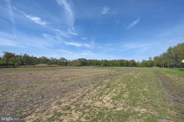 view of yard with a view of rural / pastoral area