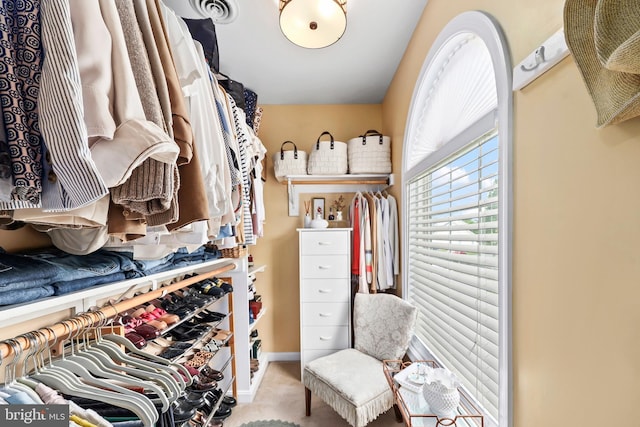walk in closet featuring carpet floors