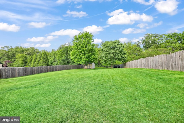 view of yard featuring a storage shed and an outdoor structure