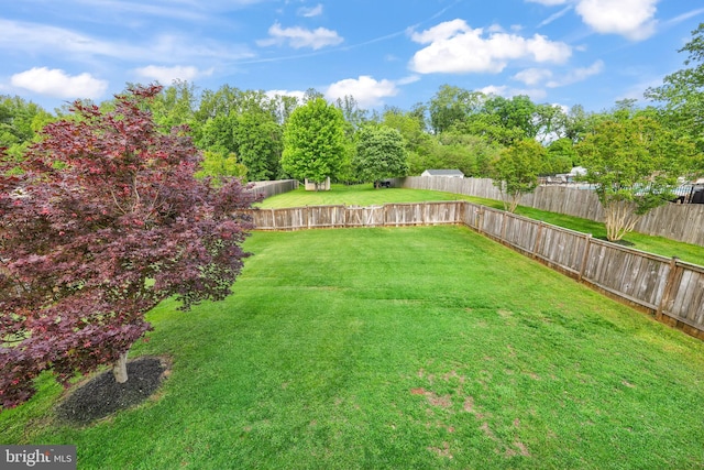 view of yard