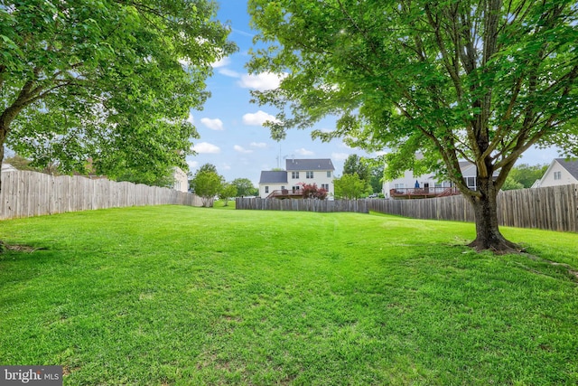 view of yard