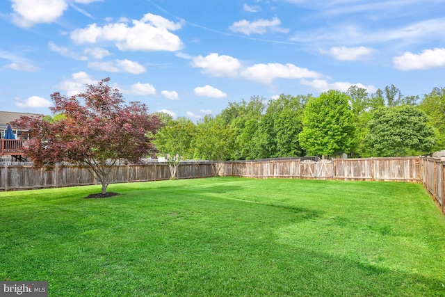 view of yard