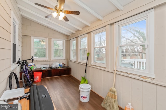 5100 Eugene Ave, Baltimore, MD 21206 - sunroom / solarium featuring wood finished floors and healthy amount of natural light