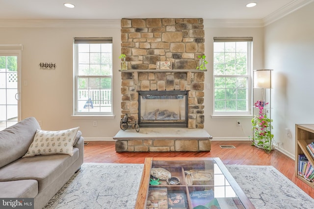 living area featuring plenty of natural light, wood finished floors, ornamental molding, baseboards, and a fireplace