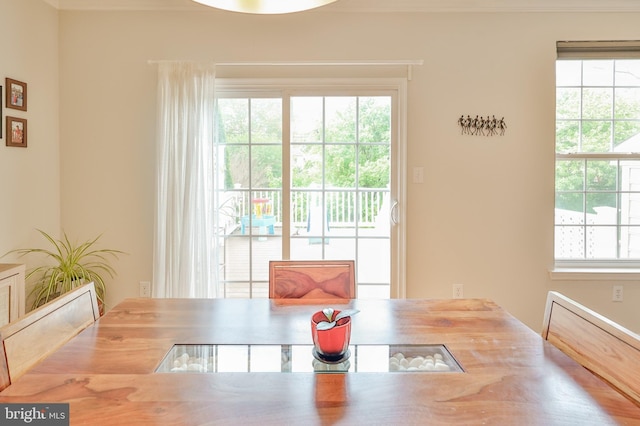 dining room with healthy amount of natural light