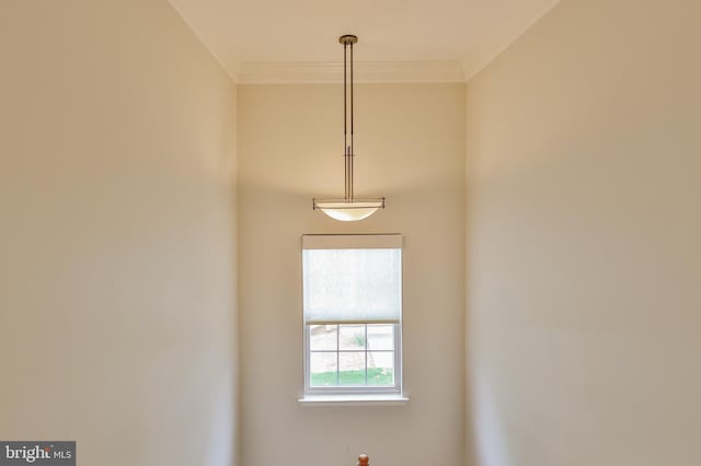 detailed view of crown molding