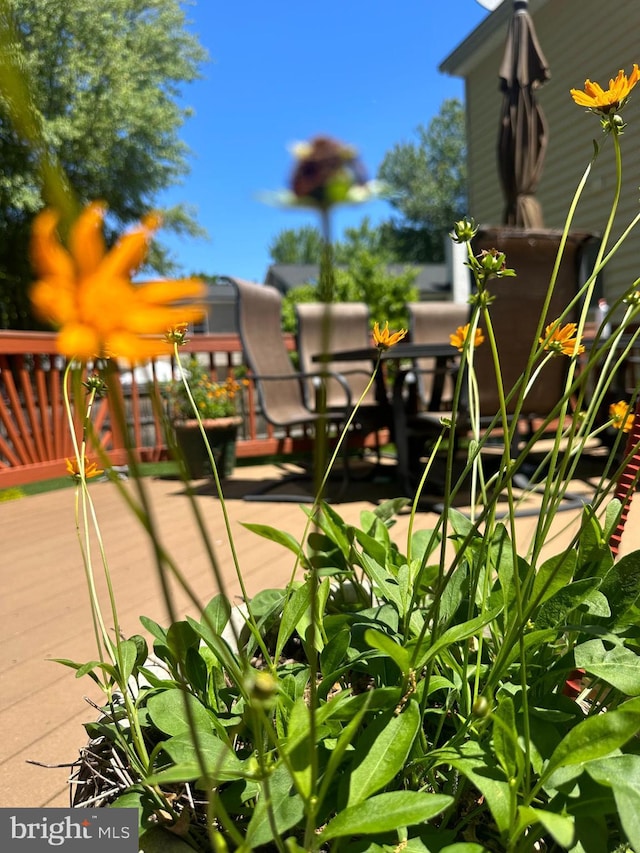 view of patio / terrace with a wooden deck