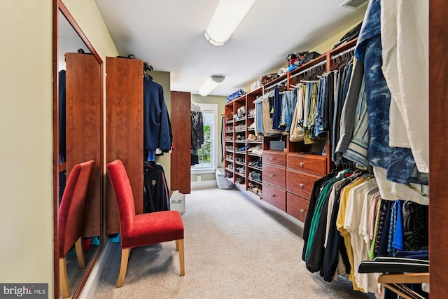 853 Imperial Rd, Arnold, MD 21012 - spacious closet with light carpet