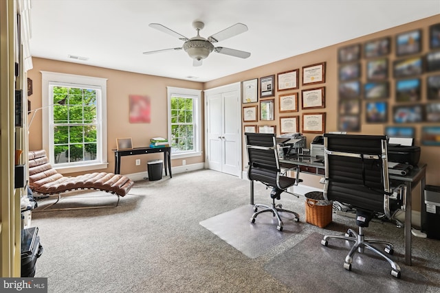 853 Imperial Rd, Arnold, MD 21012 - office featuring ceiling fan, carpet floors, and baseboards