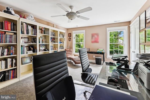 853 Imperial Rd, Arnold, MD 21012 - home office featuring plenty of natural light, a ceiling fan, and carpet flooring