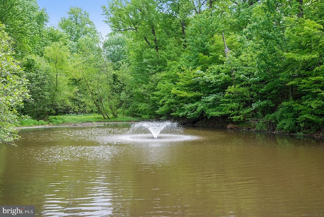 389 Mattapany Ct, Arnold, MD 21012 - water view featuring a heavily wooded area
