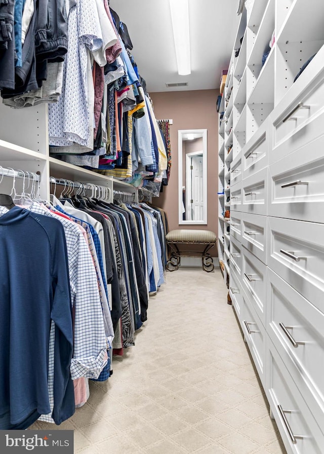 1123 Riverview Ln, Conshohocken, PA 19428 - walk in closet featuring light colored carpet