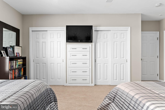 1123 Riverview Ln, Conshohocken, PA 19428 - bedroom with two closets and light carpet