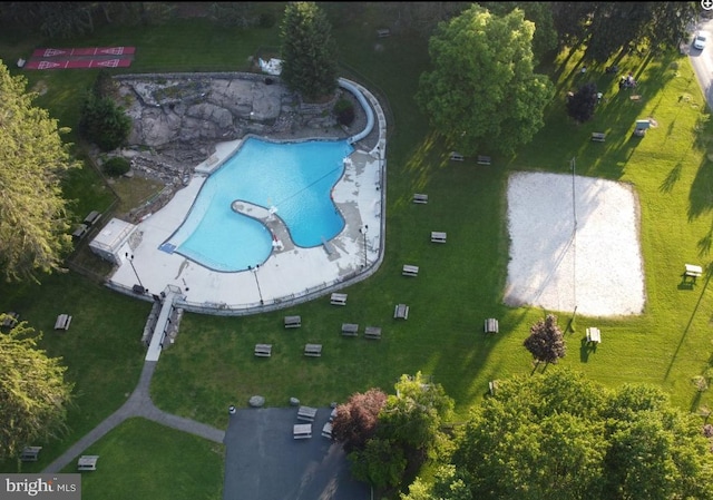 bird's eye view of a pool