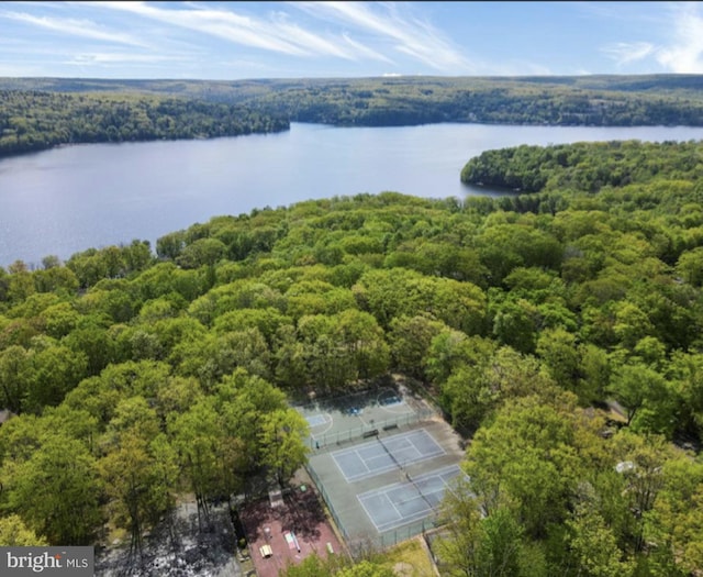 aerial view of a heavily wooded area and a large body of water