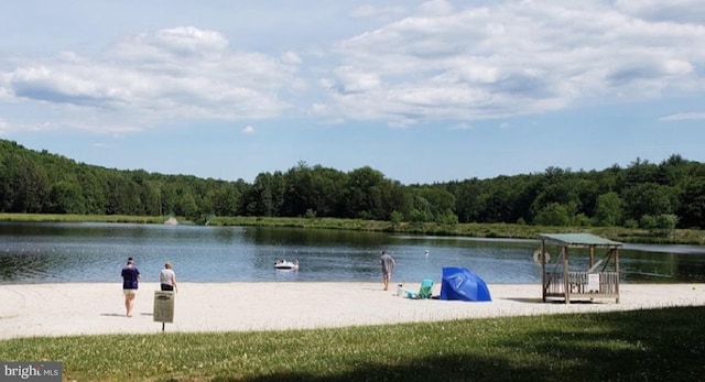 view of home's community with a forest view and a water view