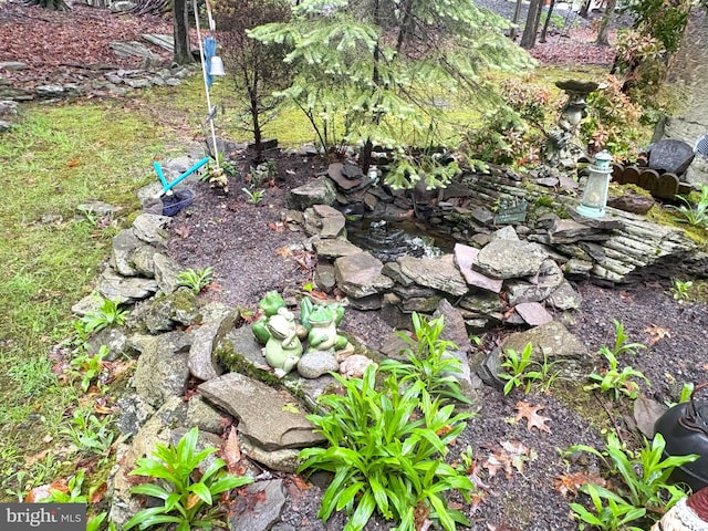 exterior view of a garden pond