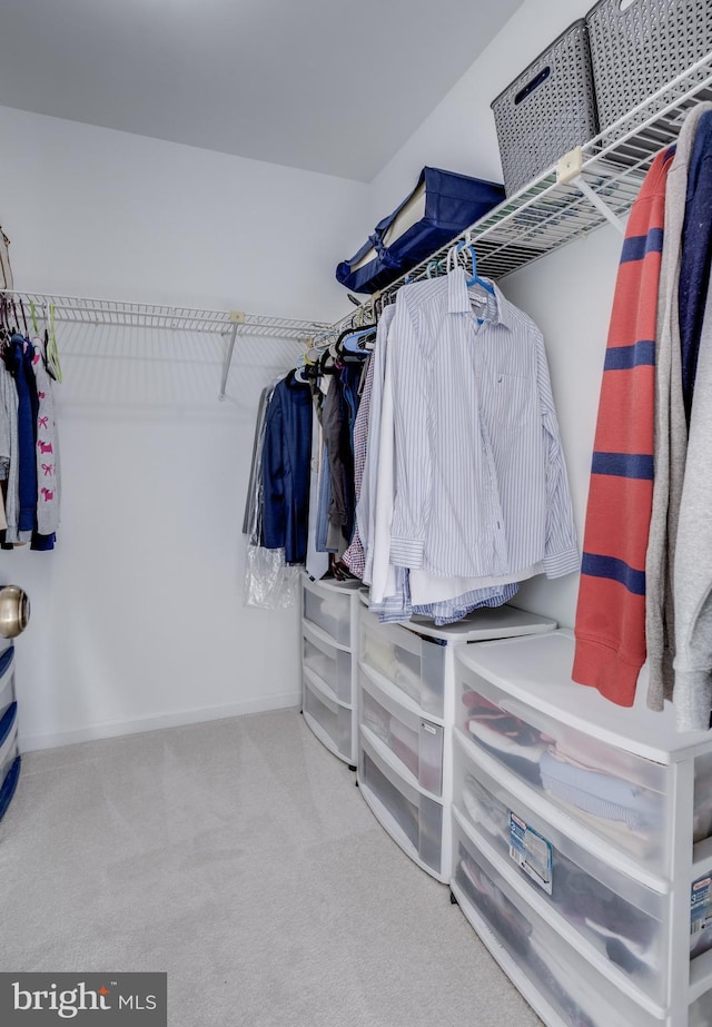 7530 Royce Ct, Annandale, VA 22003 - spacious closet with carpet floors