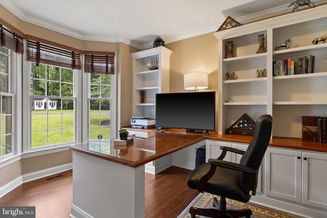 1002 Queen Annes Lace Way, Annapolis, MD 21401 - office area featuring plenty of natural light, dark wood finished floors, ornamental molding, and baseboards