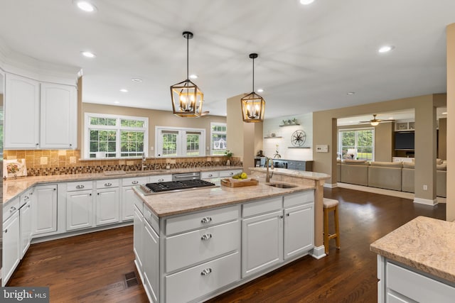 1002 Queen Annes Lace Way, Annapolis, MD 21401 - kitchen with a sink, plenty of natural light, backsplash, dark wood finished floors, and recessed lighting