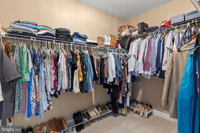 1002 Queen Annes Lace Way, Annapolis, MD 21401 - spacious closet featuring carpet flooring