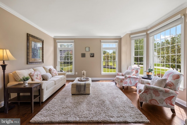 1002 Queen Annes Lace Way, Annapolis, MD 21401 - living area featuring crown molding, dark wood-style flooring, and baseboards