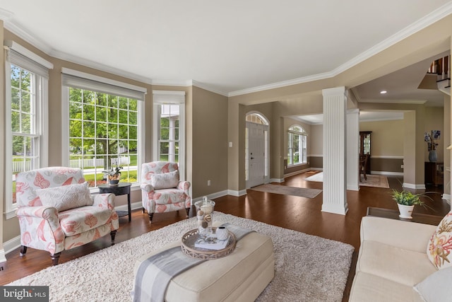 1002 Queen Annes Lace Way, Annapolis, MD 21401 - living room featuring ornate columns, dark wood finished floors, healthy amount of natural light, crown molding, and baseboards