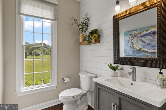 1002 Queen Annes Lace Way, Annapolis, MD 21401 - bathroom featuring plenty of natural light, toilet, baseboards, vanity, and wood walls