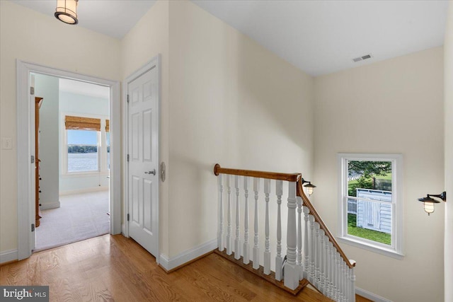 1100 Steamboat Rd, Shady Side, MD 20764 - hall with an upstairs landing, wood finished floors, healthy amount of natural light, and baseboards