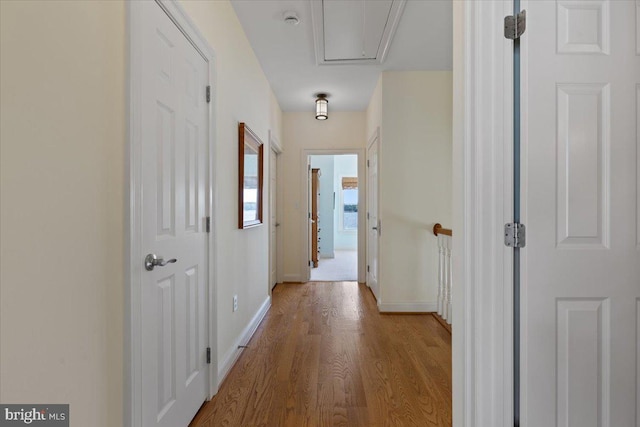 1100 Steamboat Rd, Shady Side, MD 20764 - corridor with wood finished floors and baseboards