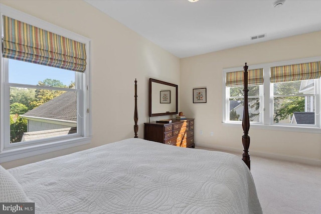 1100 Steamboat Rd, Shady Side, MD 20764 - bedroom with carpet and baseboards