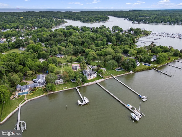 1100 Steamboat Rd, Shady Side, MD 20764 - bird's eye view of a nearby body of water and a heavily wooded area