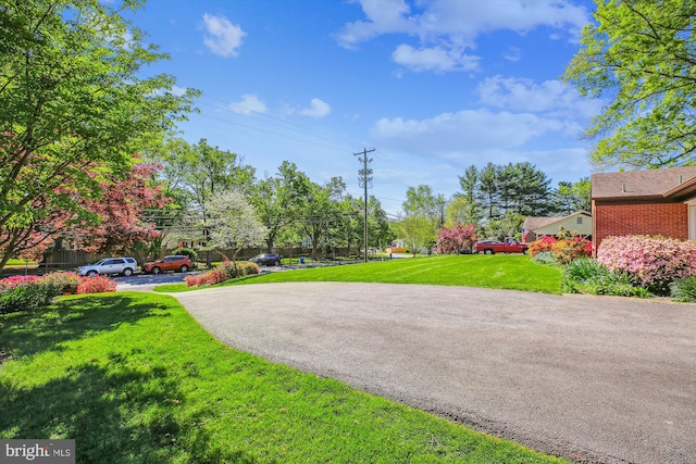 18312 Metz Dr, Germantown, MD 20874 - view of green lawn