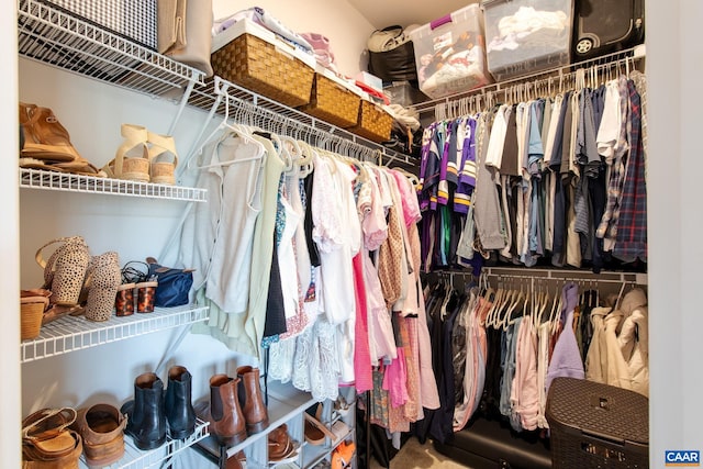 1509 Delphi Ln, Charlottesville, VA 22911 - view of spacious closet