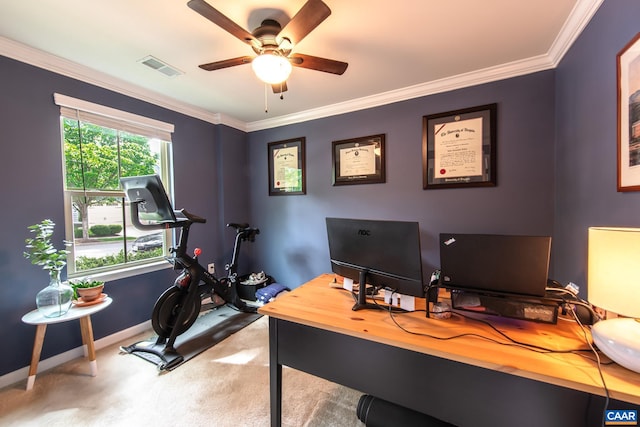1509 Delphi Ln, Charlottesville, VA 22911 - office space with a ceiling fan, ornamental molding, carpet flooring, and baseboards