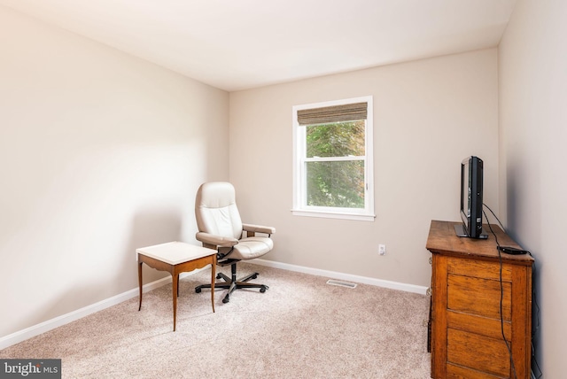 13 Deerfield Ln, Rehoboth Beach, DE 19971 - sitting room with carpet flooring and baseboards