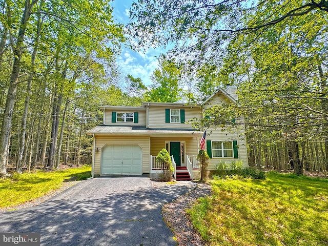 251 Depuy Dr, Pocono Lake, PA 18347 - traditional-style home with driveway, an attached garage, and a front lawn