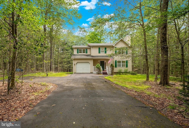251 Depuy Dr, Pocono Lake, PA 18347 - traditional-style house with driveway, a chimney, and an attached garage