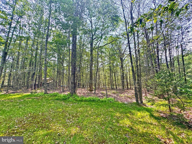 251 Depuy Dr, Pocono Lake, PA 18347 - view of grassy yard featuring a forest view