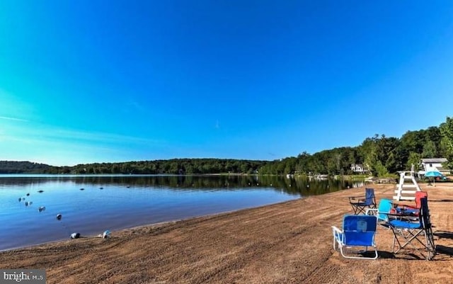 251 Depuy Dr, Pocono Lake, PA 18347 - water view with a heavily wooded area