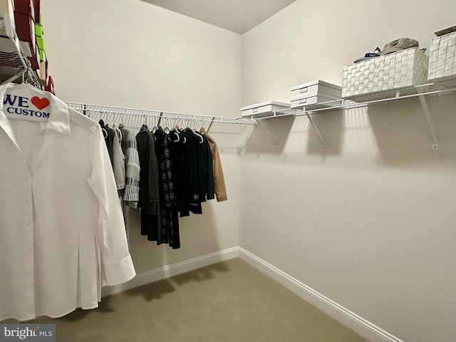 walk in closet with carpet