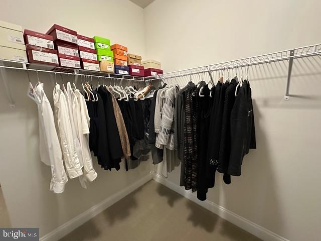 spacious closet featuring carpet flooring