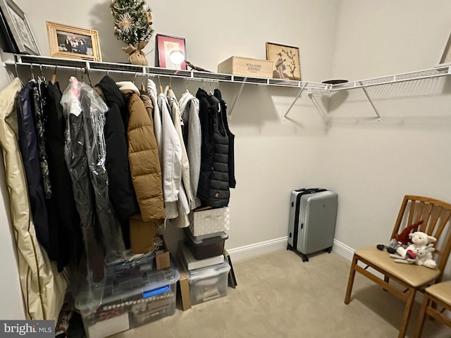 spacious closet with carpet