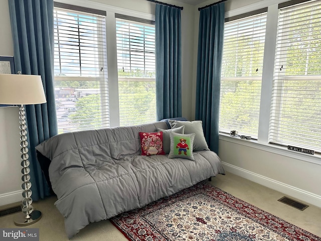 sitting room featuring carpet and baseboards